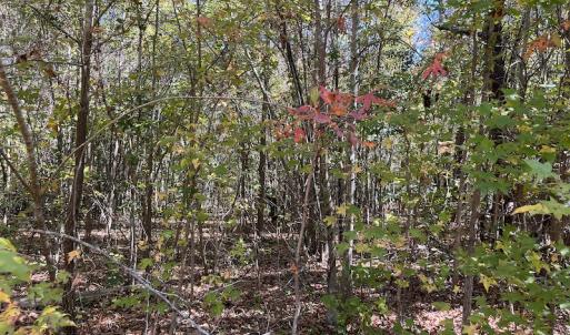 Photo #25 of SOLD property in Off Richland Drive, Pembroke, NC 10.4 acres