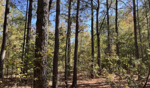 Photo #28 of SOLD property in Off Richland Drive, Pembroke, NC 10.4 acres