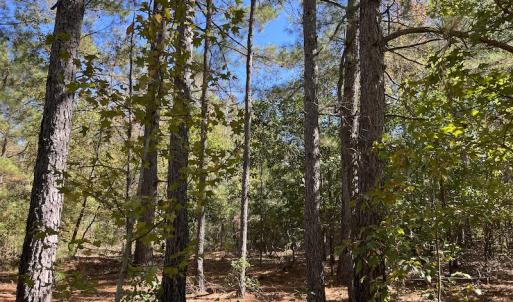 Photo #29 of SOLD property in Off Richland Drive, Pembroke, NC 10.4 acres