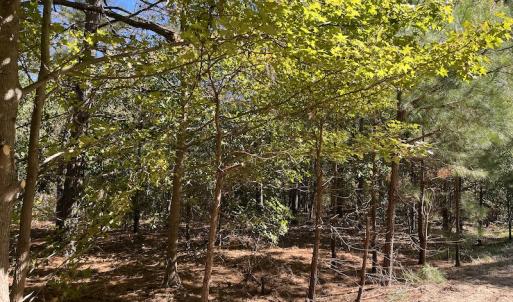 Photo #30 of SOLD property in Off Richland Drive, Pembroke, NC 10.4 acres