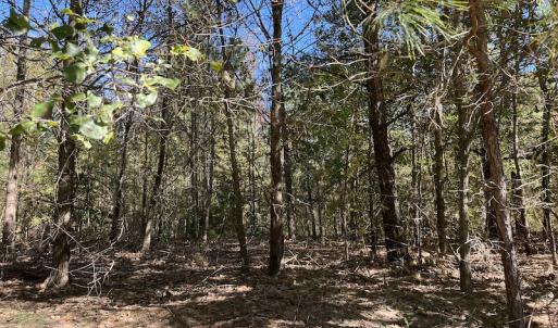 Photo #31 of SOLD property in Off Richland Drive, Pembroke, NC 10.4 acres