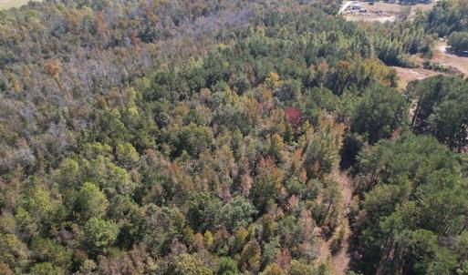 Photo #5 of SOLD property in Off Richland Drive, Pembroke, NC 10.4 acres