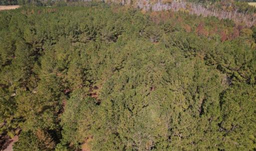 Photo #6 of SOLD property in Off Richland Drive, Pembroke, NC 10.4 acres