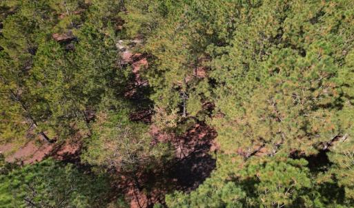 Photo #8 of SOLD property in Off Richland Drive, Pembroke, NC 10.4 acres