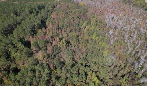 Photo #9 of SOLD property in Off Richland Drive, Pembroke, NC 10.4 acres