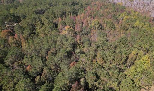 Photo #10 of SOLD property in Off Richland Drive, Pembroke, NC 10.4 acres