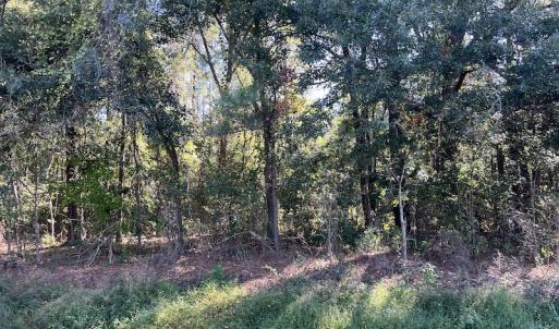 Photo #13 of SOLD property in Off Wilmington Highway, Orrum, NC 4.7 acres
