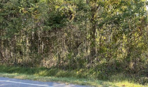 Photo #15 of SOLD property in Off Wilmington Highway, Orrum, NC 4.7 acres