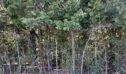 Photo #17 of SOLD property in Off Wilmington Highway, Orrum, NC 4.7 acres