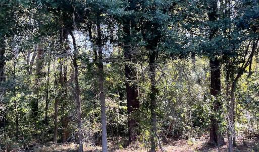 Photo #18 of SOLD property in Off Wilmington Highway, Orrum, NC 4.7 acres