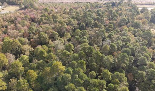 Photo #12 of SOLD property in 1315 Bull Street, Garland, NC 8.6 acres