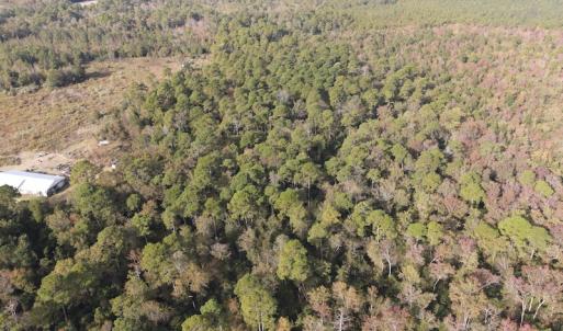 Photo #6 of SOLD property in 1315 Bull Street, Garland, NC 8.6 acres