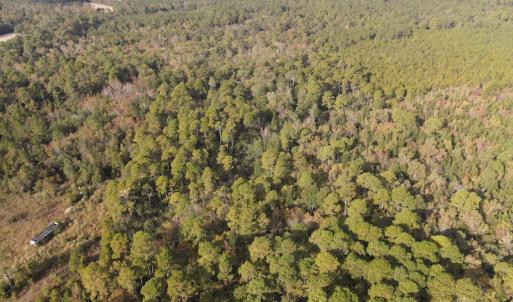 Photo #8 of SOLD property in 1315 Bull Street, Garland, NC 8.6 acres