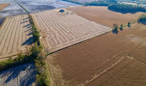 Photo #8 of Off Burnette Farm Road, Tarboro, NC 29.2 acres