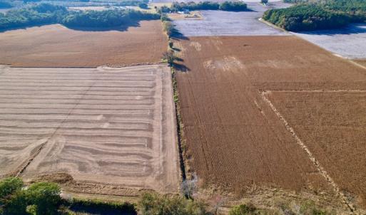 Photo #9 of Off Burnette Farm Road, Tarboro, NC 29.2 acres