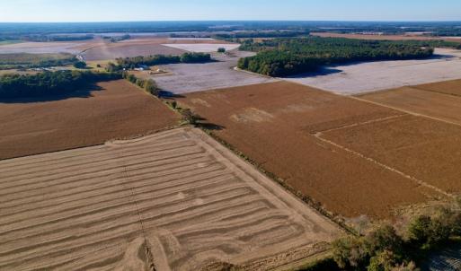 Photo #10 of Off Burnette Farm Road, Tarboro, NC 29.2 acres