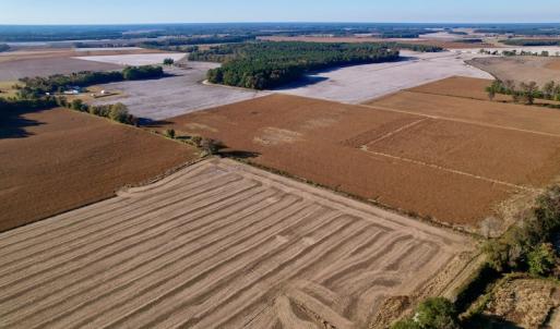 Photo #11 of Off Burnette Farm Road, Tarboro, NC 29.2 acres