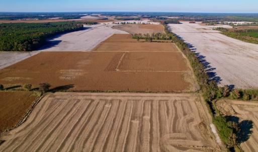 Photo #12 of Off Burnette Farm Road, Tarboro, NC 29.2 acres