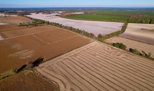 Photo #13 of Off Burnette Farm Road, Tarboro, NC 29.2 acres