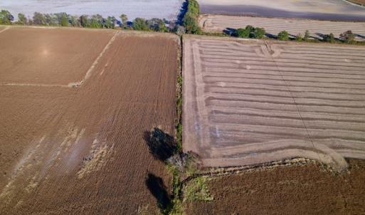 Photo #14 of Off Burnette Farm Road, Tarboro, NC 29.2 acres