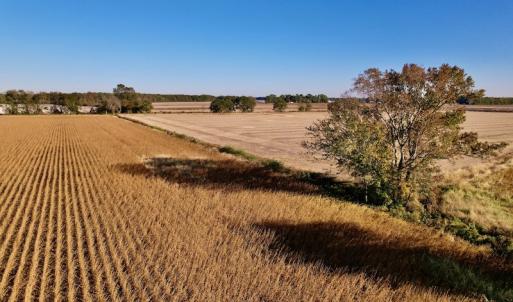 Photo #15 of Off Burnette Farm Road, Tarboro, NC 29.2 acres