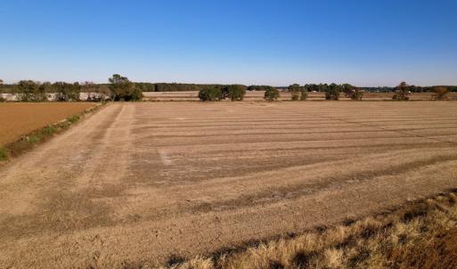 Photo #16 of Off Burnette Farm Road, Tarboro, NC 29.2 acres