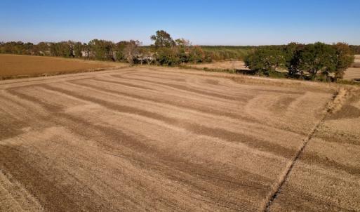 Photo #17 of Off Burnette Farm Road, Tarboro, NC 29.2 acres
