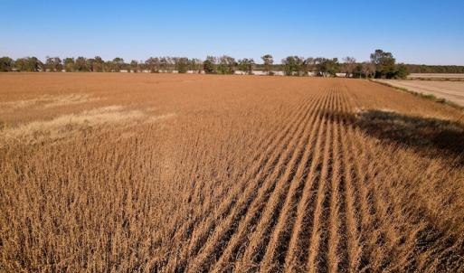 Photo #18 of Off Burnette Farm Road, Tarboro, NC 29.2 acres