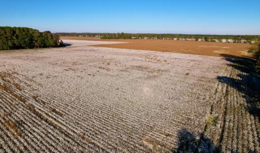 Photo #20 of Off Burnette Farm Road, Tarboro, NC 29.2 acres