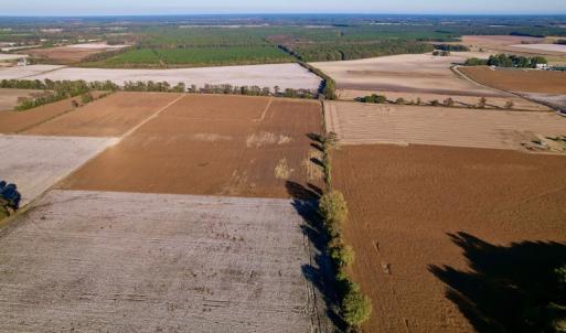 Photo #28 of Off Burnette Farm Road, Tarboro, NC 29.2 acres