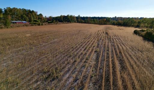 Photo #30 of Off Burnette Farm Road, Tarboro, NC 29.2 acres