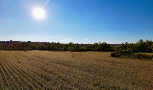 Photo #31 of Off Burnette Farm Road, Tarboro, NC 29.2 acres