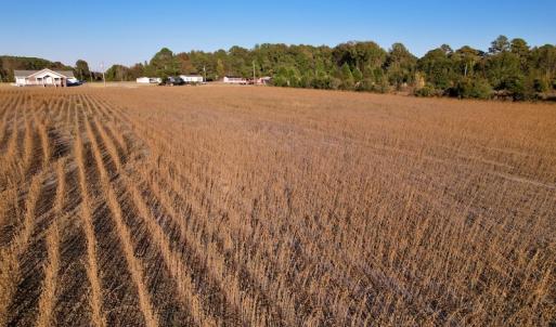 Photo #32 of Off Burnette Farm Road, Tarboro, NC 29.2 acres