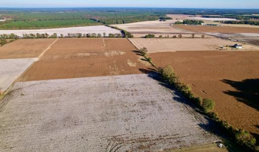 Photo #2 of Off Burnette Farm Road, Tarboro, NC 29.2 acres
