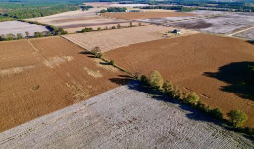 Photo #3 of Off Burnette Farm Road, Tarboro, NC 29.2 acres