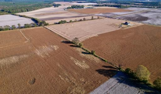 Photo #4 of Off Burnette Farm Road, Tarboro, NC 29.2 acres