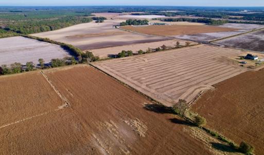 Photo #5 of Off Burnette Farm Road, Tarboro, NC 29.2 acres