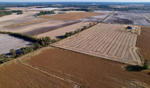 Photo #6 of Off Burnette Farm Road, Tarboro, NC 29.2 acres