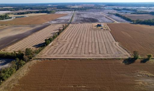Photo #7 of Off Burnette Farm Road, Tarboro, NC 29.2 acres