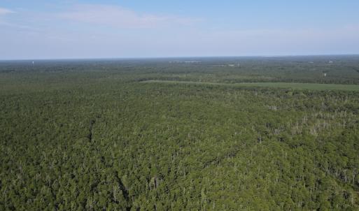 Photo #2 of Off Adams Creek, Havelock, NC 1,287.0 acres