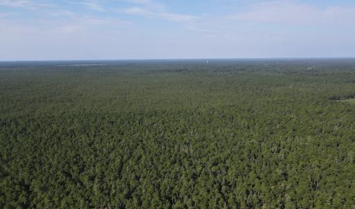Photo #3 of Off Adams Creek, Havelock, NC 1,287.0 acres