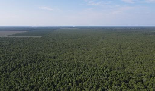 Photo #4 of Off Adams Creek, Havelock, NC 1,287.0 acres