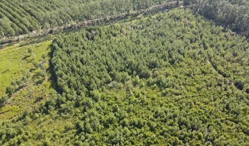 Photo #6 of Off Adams Creek, Havelock, NC 1,287.0 acres