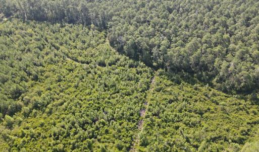 Photo #7 of Off Adams Creek, Havelock, NC 1,287.0 acres