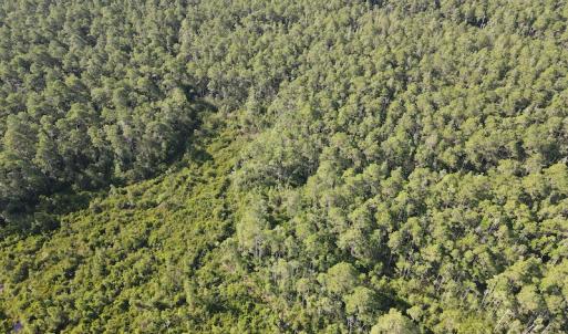 Photo #8 of Off Adams Creek, Havelock, NC 1,287.0 acres