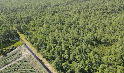 Photo #9 of Off Adams Creek, Havelock, NC 1,287.0 acres