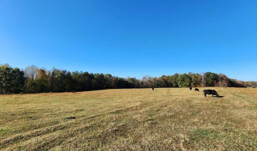 Photo #24 of SOLD property in 2050 Johnson Mill Road, Vernon Hill, VA 97.1 acres