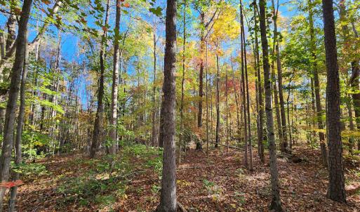 Photo #29 of SOLD property in 2050 Johnson Mill Road, Vernon Hill, VA 97.1 acres