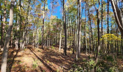 Photo #30 of SOLD property in 2050 Johnson Mill Road, Vernon Hill, VA 97.1 acres