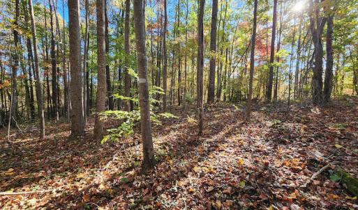 Photo #31 of SOLD property in 2050 Johnson Mill Road, Vernon Hill, VA 97.1 acres